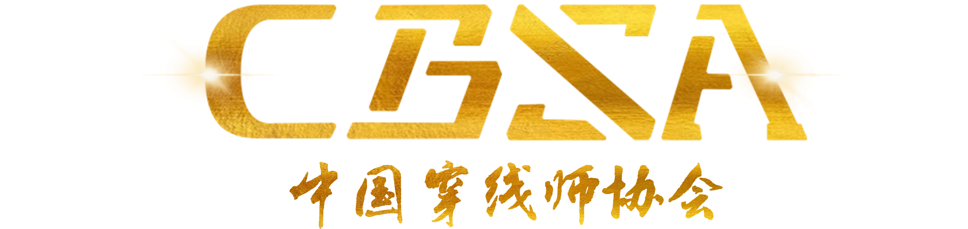 CBSA Logo