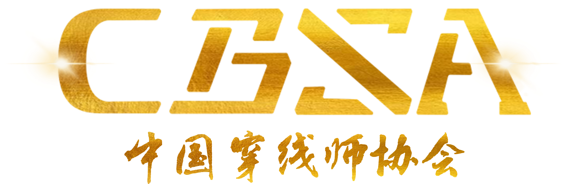 China Badminton Stringing Association(CBSA)